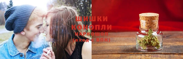 первитин Новозыбков