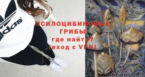 ECSTASY Нефтекумск