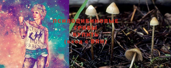 первитин Новозыбков