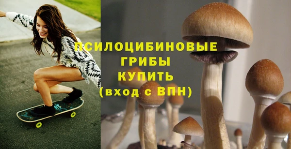 ECSTASY Нефтекумск