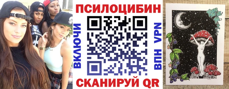 купить наркотик  гидра рабочий сайт  Псилоцибиновые грибы MAGIC MUSHROOMS  Морозовск 
