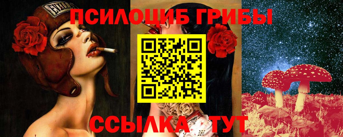Морозовск  Галлюциногенные грибы Psilocybe  Вход с VPN  Галлюциногенные грибы ЛСД 