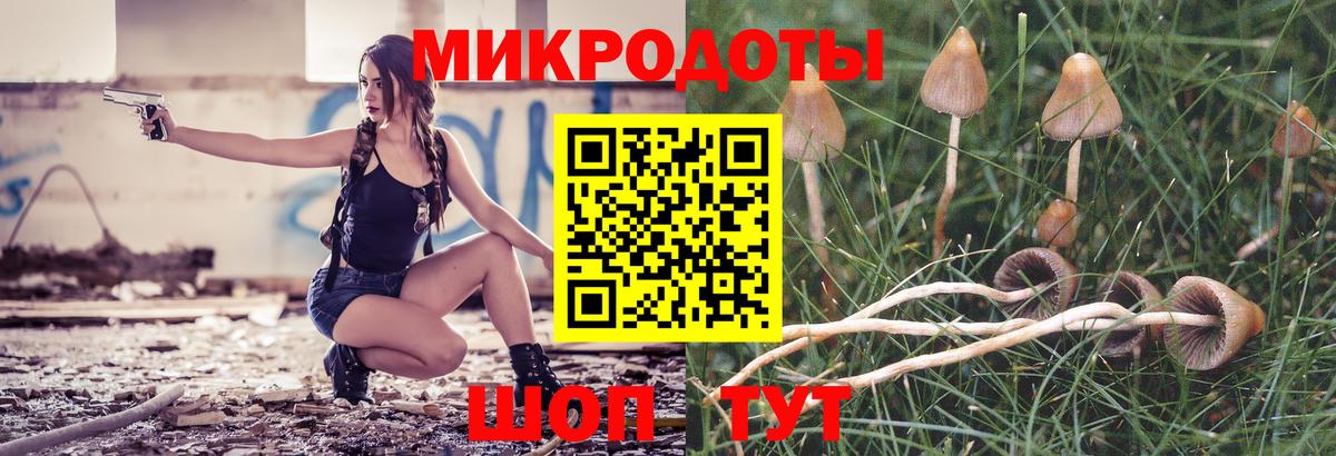 Галлюциногенные грибы Psilocybe Морозовск